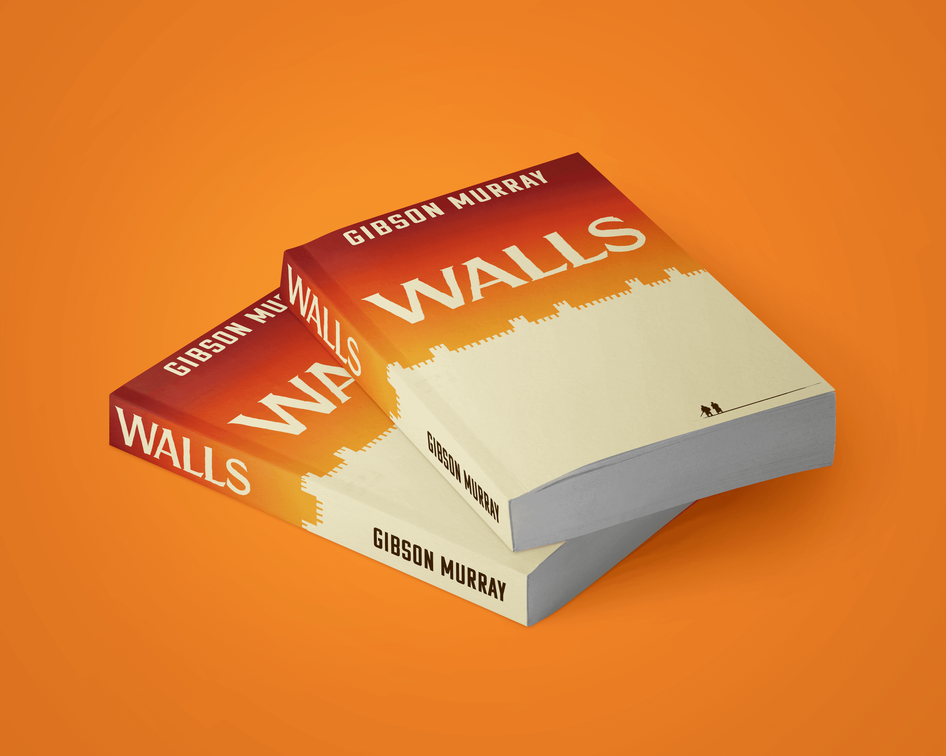 Walls book cover